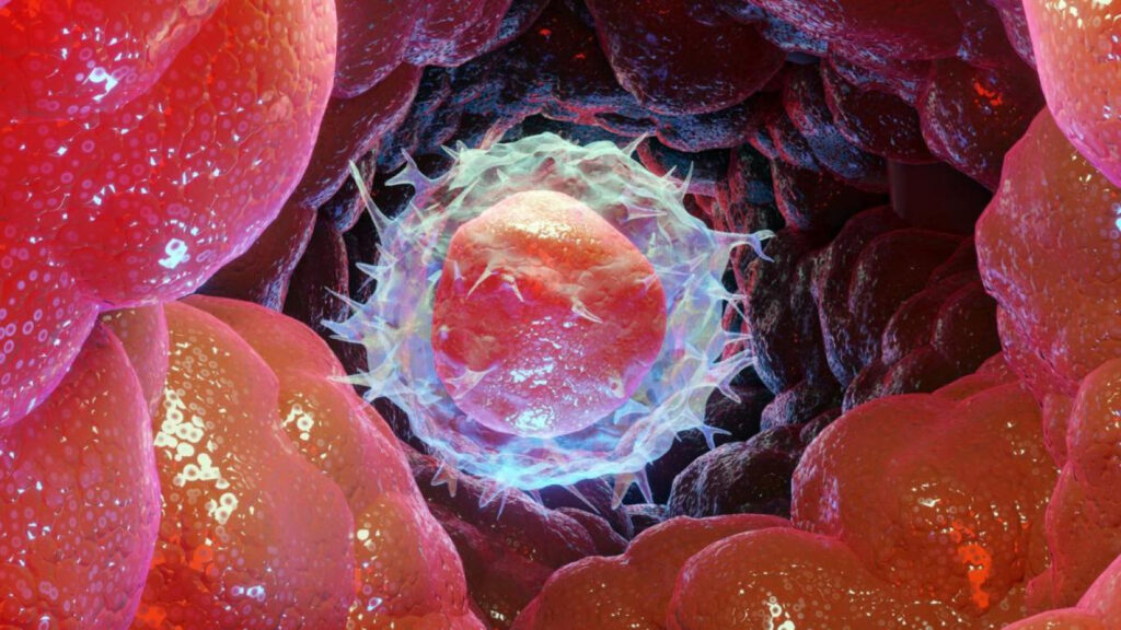 ¡Alerta! Terapias contra leucemia podrían volverse contra nosotros: ¿el sistema inmunitario como enemigo?